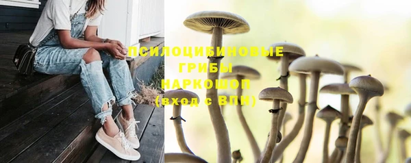 прущие крисы Абдулино