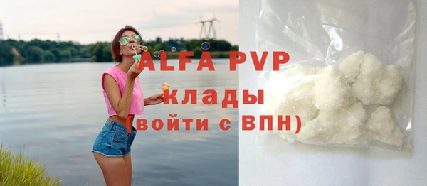 шишки Абаза