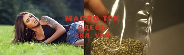 сатива Долгопрудный