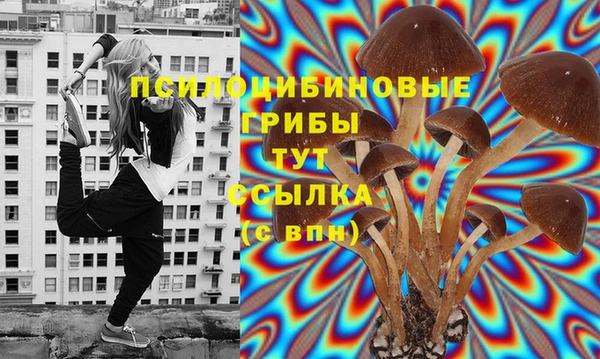 дживик Алексин
