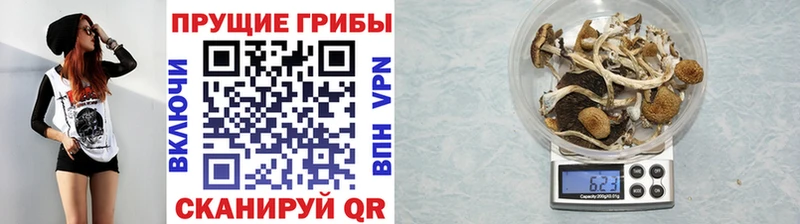 Псилоцибиновые грибы мухоморы  гидра ТОР  Зверево 
